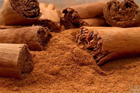 Cinnamon | Spice | Herb | Seasonings | Spices / Seasonings | Food / Drink | Naturally Grown | Dried Herbs | Herbalism | Organic Dried Herbs