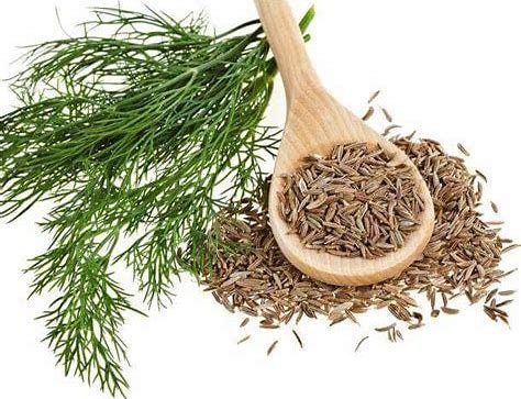 Cumin | Spice | Seasoning | Food | Natural Herb | Dried Herbs | Natural Herbs | Herbs | Aphrodisiac | Fragrance |