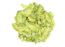 Load image into Gallery viewer, Hops Flower Whole | Whole Flowers | Herb | Ounce | Organic | Dried Herbs | Herbal | Herbalism | Aromatherapy | Healing
