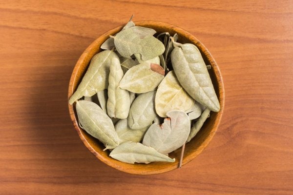 Boldo Leaves Organic | Dried Herbs | Herbalism | Altar Supplies | Protection | Herbal Teas | Wicca |