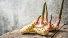 Load image into Gallery viewer, Galangal Root | Seasonings | Wholesale | Nutritional | Food grade | Dried Root | Supplements | Organic | Dried Herbs | Medicinal
