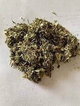 Load image into Gallery viewer, Mugwort | Organic Dried Herbs | Herbalism | Herbal Products | Botanical | Natural Herbs | Ritual Herbs | Intuition | Inflamation |

