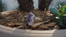 Load image into Gallery viewer, Amethyst Geode  #413 | Crystals | Deep Purple Gemstone | Chakra Stones | Wicca | Witchcraft Crystals | Collectable Stones | Metaphysical
