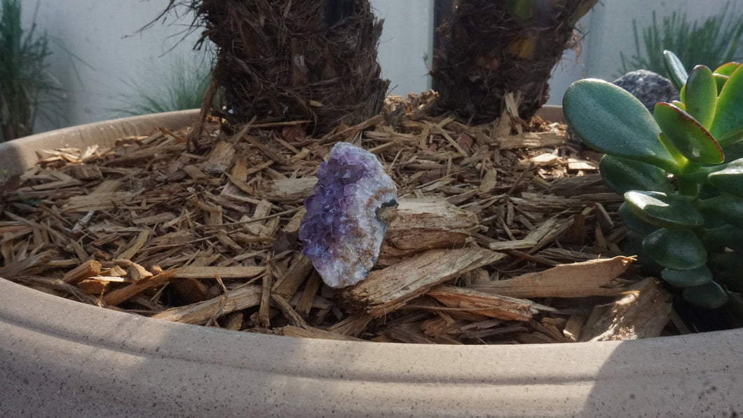 Amethyst Geode  #413 | Crystals | Deep Purple Gemstone | Chakra Stones | Wicca | Witchcraft Crystals | Collectable Stones | Metaphysical