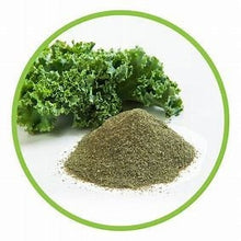Load image into Gallery viewer, Kale Powder | Ounces | Organic | Dried Herbs | Herbal Products | Natural Herbs | Botanical | Healing Herb | Tea Material | Herbalism
