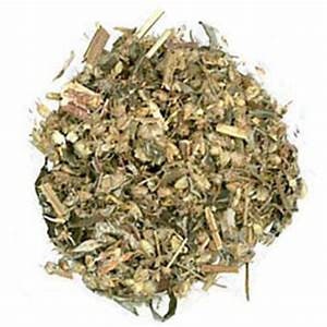 Mugwort | Organic Dried Herbs | Herbalism | Herbal Products | Botanical | Natural Herbs | Ritual Herbs | Intuition | Inflamation |