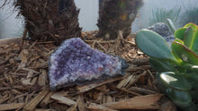 Load image into Gallery viewer, Amethyst Geode  #401 | Crystals | Deep Purple Gemstone | Chakra Stones | Wicca | Witchcraft Crystals | Collectable Stones | Metaphysical
