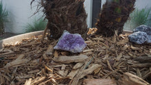 Load image into Gallery viewer, Amethyst Geode  #409 | Crystals | Deep Purple Gemstone | Chakra Stones | Wicca | Witchcraft Crystals | Collectable Stones | Metaphysical
