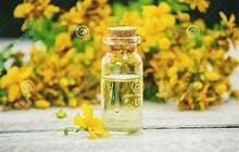 Load image into Gallery viewer, St. Johns Wort | Organic | Natural | Herbalist | Dried Herbs | Botanical | Metaphysical | Natural Herbs |  Supplement | Stabilize | Mood
