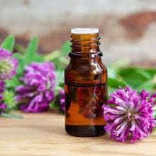 Load image into Gallery viewer, Red Clover tops | Whole |  | Organic | Dried Herbs | Herbal | Herbalism | Aromatherapy | Healing

