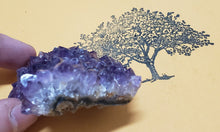 Load image into Gallery viewer, Amethyst Geode 480 | Crystals | Deep Purple Gemstone | Chakra Stones | Wicca | Witchcraft Crystals | Collectable Stones | Metaphysical

