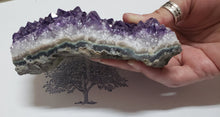 Load image into Gallery viewer, Amethyst Geode 487 | Crystals | Deep Purple Gemstone | Chakra Stones | Wicca | Witchcraft Crystals | Collectable Stones | Metaphysical

