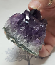 Load image into Gallery viewer, Amethyst Geode 481 | Crystals | Deep Purple Gemstone | Chakra Stones | Wicca | Witchcraft Crystals | Collectable Stones | Metaphysical
